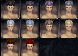 User Luke1138 Elemental factions hair color f.jpg