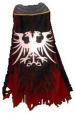 Guild Bruans In Arms cape.jpg