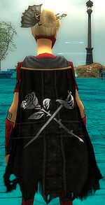 Guild De La Rey Raiders cape.jpg