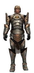 Warrior Sunspear armor m.jpg