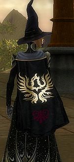 Guild Coven Of The Raven cape.jpg