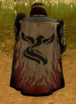 Guild First Ecounter Assault Recon cape.jpg