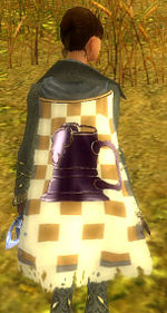 Guild Order Of The Golden Spurs cape.jpg