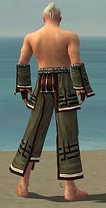 Monk Kurzick armor m gray back arms legs.jpg