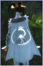 Guild Brigantes Nine cape.jpg