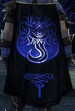 Guild Le Cenacle cape.jpg