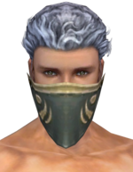 Ranger Shing Jea Mask m gray front.png