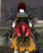 Guild Driven In Flames cape.jpg