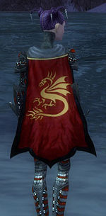 Guild Forces Of Mass Destruction cape.jpg