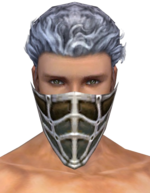 Ranger Kurzick Mask m gray front.png