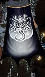 Guild Protectors Of Vengeance cape.jpg