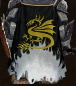 Guild National Dyslexics Association cape.jpg