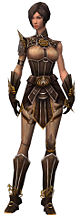 Acolyte Jin Elite Sunspear armor.jpg