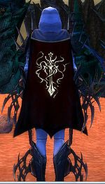 Guild The Death Cavaliers cape.jpg