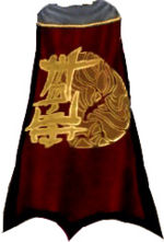 Guild House Of Defiance cape.jpg