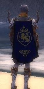 Guild Risen Heroes Of The Apocalypse cape.jpg