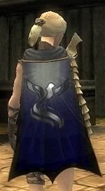 Guild Wanton Nomads Cape.jpg