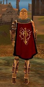 Guild Ascalonian Reserves cape.jpg