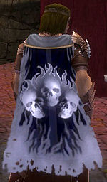 Guild The Shadow Lichs cape.jpg