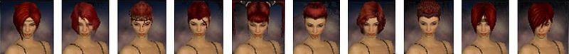 User Luke1138 Warrior factions hair style f.jpg