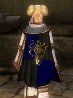 Guild Shadow Knights Of Balthazar cape.jpg