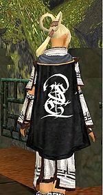 Guild The Enternal Darkness cape.jpg