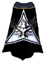 Guild The Falling Stars cape.jpg