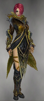 Disciple of Melandru costume f gray front.png