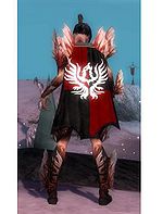 Guild Rider Of The Apocalypse cape.jpg