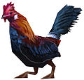 Chicken 1.jpg