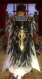 Guild Heroes Of The Black Moon Kingdom cape1.jpg