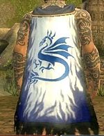 Guild Grothmars Dragon Servants cape.jpg