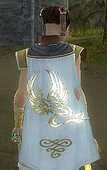 Guild Phoenix Of Ice cape.jpg