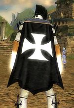 Guild The Obsidian Alliance cape.jpg