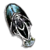 Hassin's Shell.png