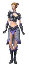 Elementalist Stoneforged armor f.jpg