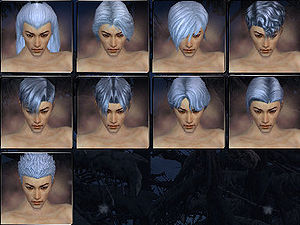 Elemental factions hair style m.jpg