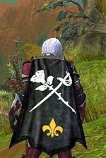 Guild Bladed Rose cape.jpg