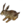 Miniature Brown Rabbit.png