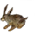 Miniature Brown Rabbit.png