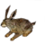 Miniature Brown Rabbit.png