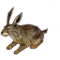 Miniature Brown Rabbit.png