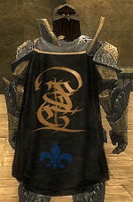 Guild Bourne Brotherhood cape.jpg