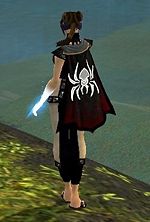 Guild Incarnation Of Grim cape.jpg