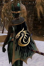 Guild The Magic Mystics cape.jpg