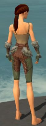 Ranger Fur-Lined armor f gray back arms legs.jpg