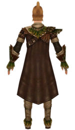 Ranger Druid armor m dyed back.jpg