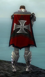 Guild Blitzkrieg Elite cape.png