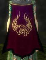 Guild Shadows Of Ravens cape.jpg