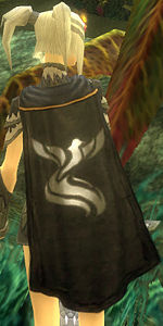 Guild O Brother Where Art Thou cape.jpg